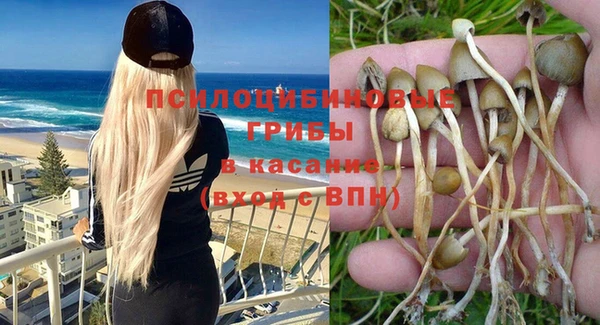 соль ск Алзамай