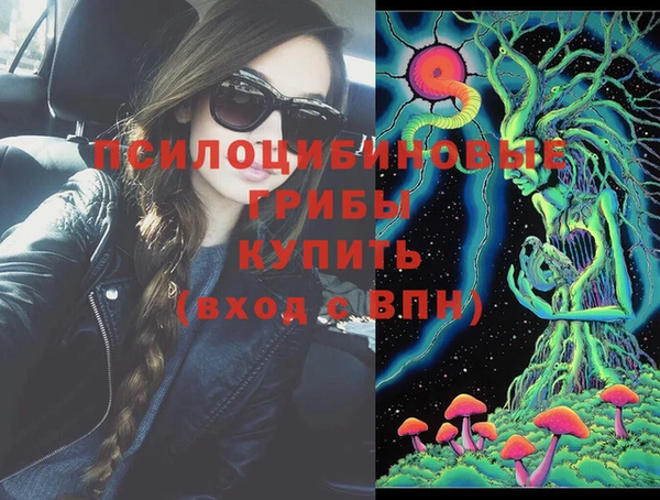 соль ск Алзамай